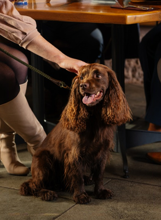 Dog-friendly-Menu_cleanup